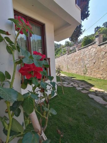 Imagen general del Akcapinar Korfez Butik Otel. Foto 4