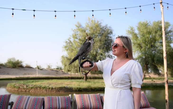 Imagen general del Al Marmoom Oasis Camping and Experiences. Foto 4