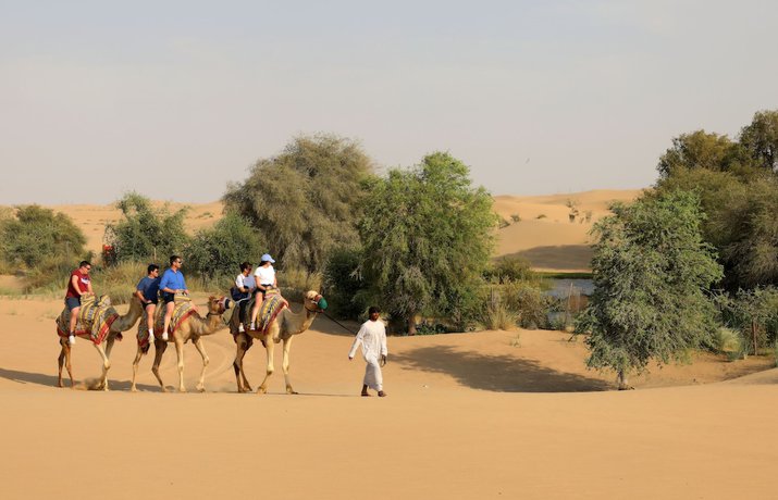 Imagen general del Al Marmoom Oasis Camping and Experiences. Foto 5
