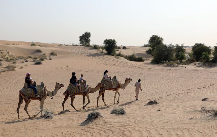 Imagen general del Al Marmoom Oasis Camping and Experiences. Foto 6