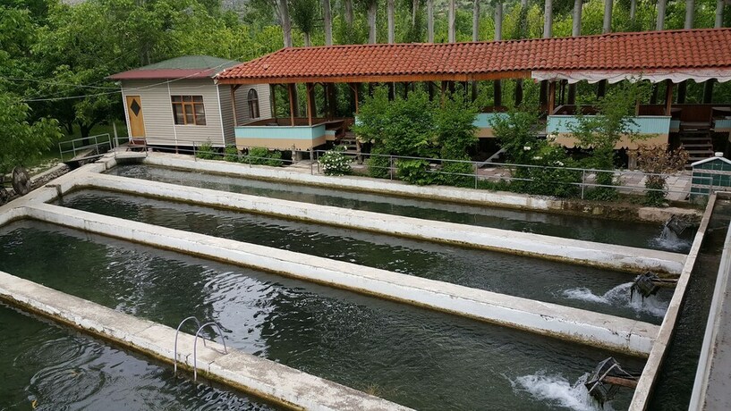 Imagen general del Alanlar Alabalık Ve Otel. Foto 5