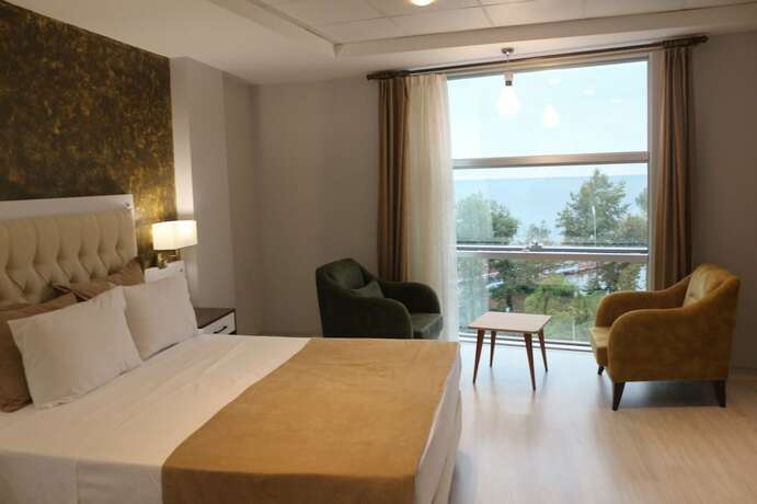 Imagen de la habitación del Alarga Premier Otel. Foto 13
