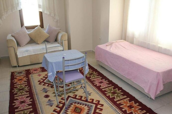Imagen general del Alayli Apart Otel. Foto 3