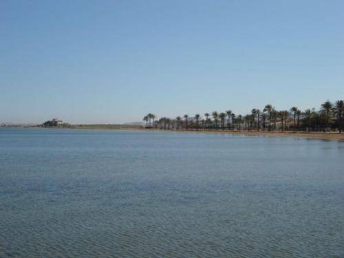 Imagen de los exteriores del Albatros Resort. Foto 12