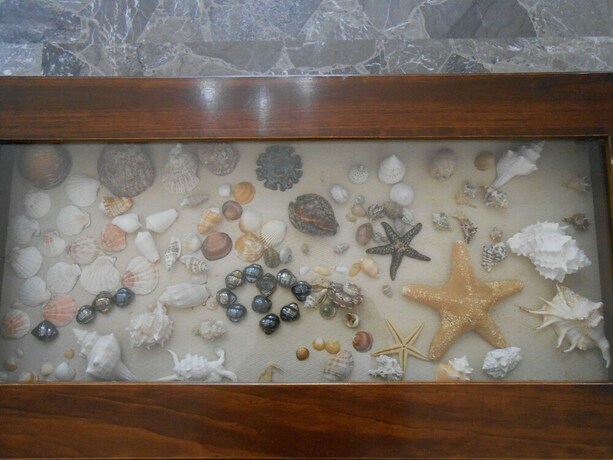 Imagen de los interiores del Albergo Il Terrazzino. Foto 33