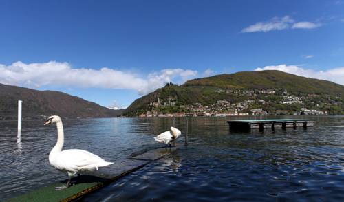 Imagen de la habitación del Albergo Ristorante Pizzeria Zappa. Foto 7