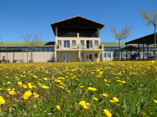 Imagen general del Albergue De Peregrinos Santiago Apostol. Foto 4