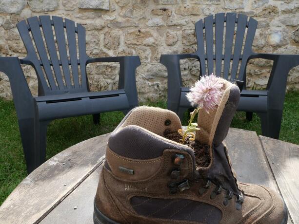 Imagen general del Albergue El Alfar/Pilgrim Hostel. Foto 29