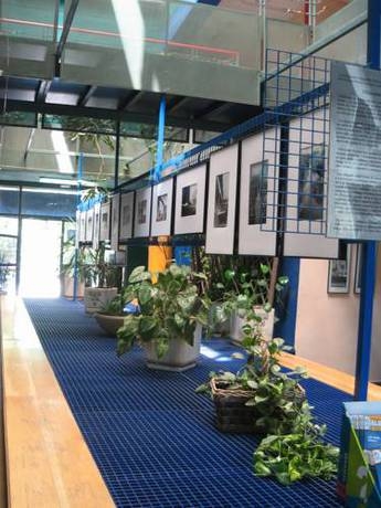 Imagen general del Albergue Juvenil Madrid San Fermin. Foto 2