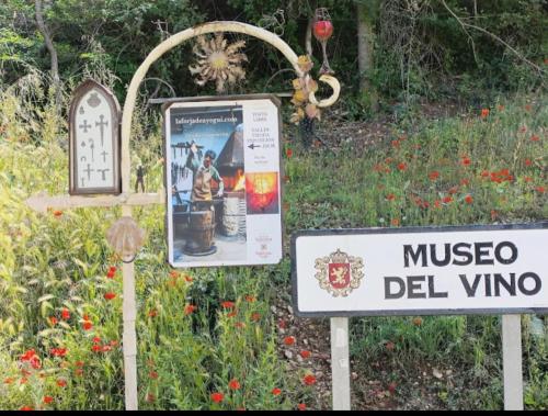 Imagen general del Albergue Municipal San Cipriano. Foto 10