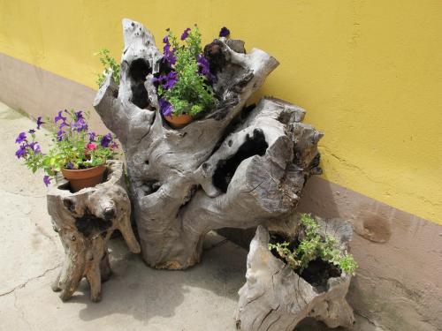 Imagen general del Albergue San Pelayo. Foto 2