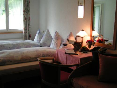 Imagen de la habitación del Alexander's T&ouml;diblick. Foto 3