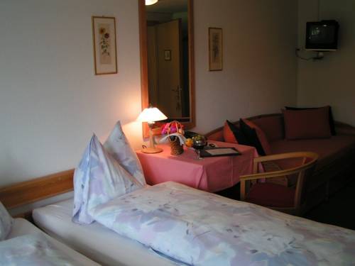 Imagen de la habitación del Alexander's T&ouml;diblick. Foto 4