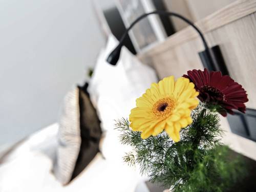 Imagen de la habitación del Alexxanders Restaurant and Bordinghouse. Foto 16