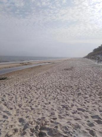 Imagen general del Alga Activ. Foto 13