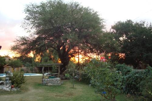 Imagen general del Algarrobo Luz Cabañas. Foto 3