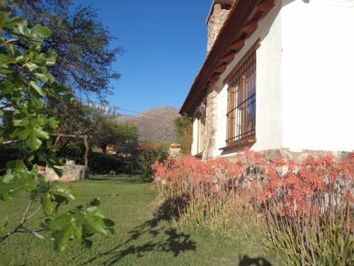 Imagen general del Algarrobo Luz Caba&ntilde;as. Foto 5