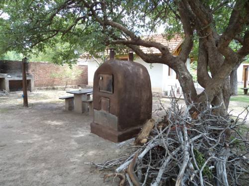 Imagen general del Algarrobo Luz Caba&ntilde;as. Foto 9