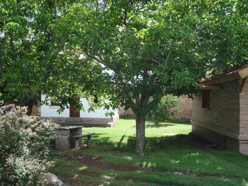 Imagen general del Algarrobo Luz Caba&ntilde;as. Foto 12