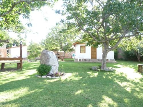 Imagen general del Algarrobo Luz Caba&ntilde;as. Foto 18