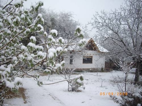 Imagen general del Algarrobo Luz Caba&ntilde;as. Foto 24