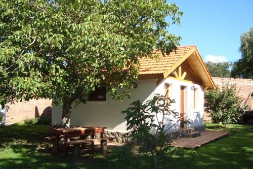 Imagen general del Algarrobo Luz Caba&ntilde;as. Foto 25