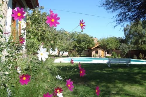 Imagen general del Algarrobo Luz Caba&ntilde;as. Foto 26