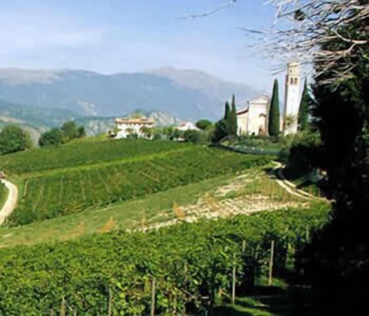 Imagen general del Alice Relais Nelle Vigne. Foto 4
