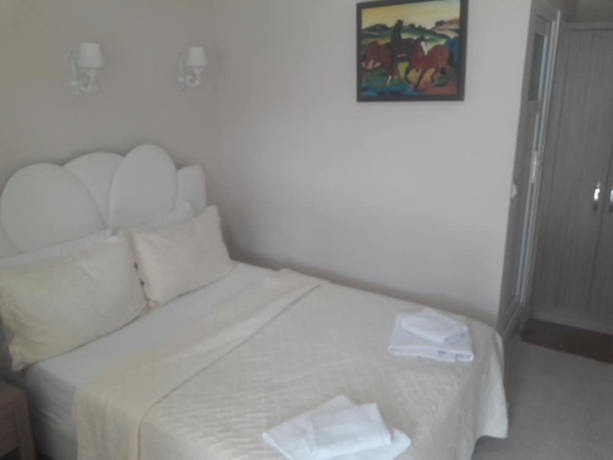 Imagen de la habitación del Alida, Pamukkale. Foto 15