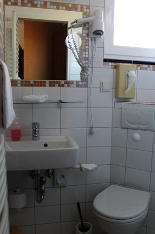 Imagen de la habitación del Alleehotel Eschen. Foto 11