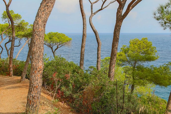 Imagen de los interiores del Allegroitalia Elba Capo D'arco. Foto 18