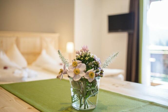 Imagen general del Almhof L&auml;sser. Foto 12