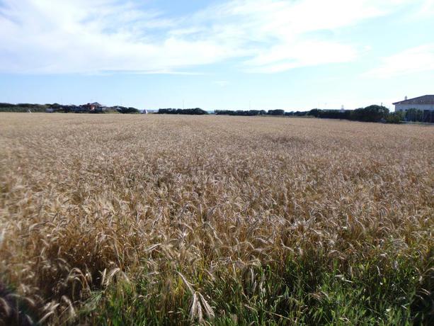 Imagen general del Alojamiento el Palmar. Foto 2