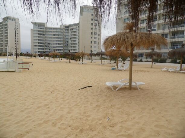 Imagen general del Alojamientos La Serena. Foto 7