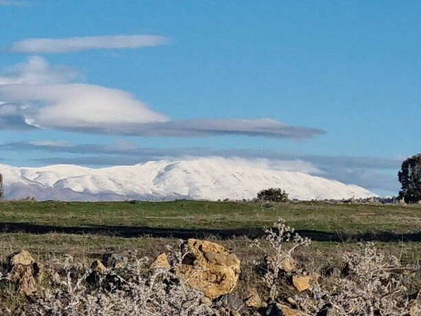 Imagen general del Aloney HaBashan - Guest Village. Foto 14