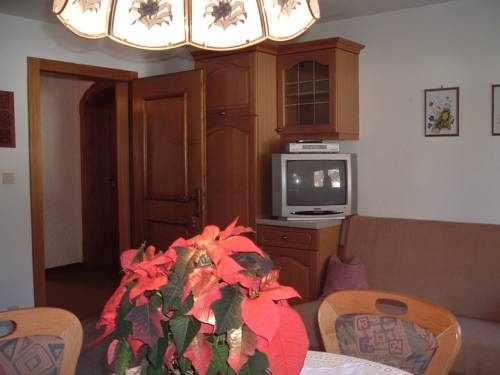 Imagen de la habitación del Alpbach Bergwald. Foto 78