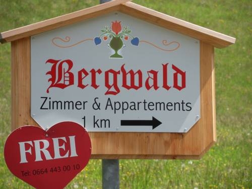 Imagen general del Alpbach Bergwald. Foto 6