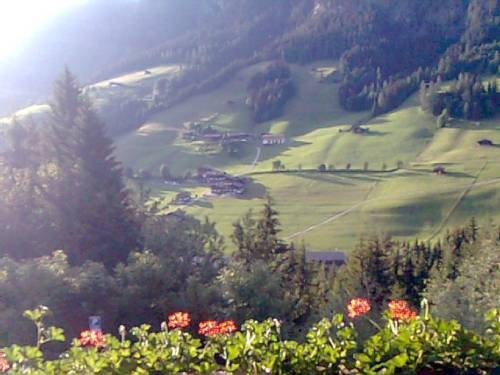 Imagen de la habitación del Alpbach Bergwald. Foto 93