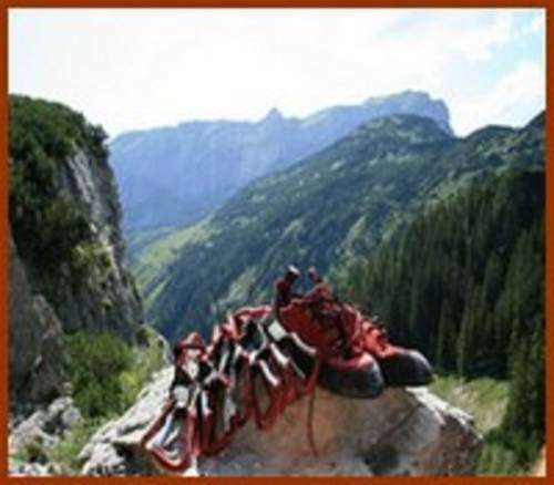 Imagen general del Alpbach Bergwald. Foto 32