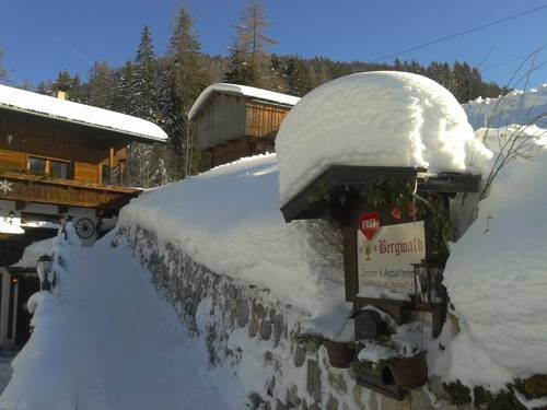 Imagen general del Alpbach Bergwald. Foto 40