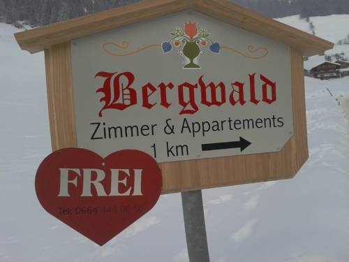 Imagen general del Alpbach Bergwald. Foto 41