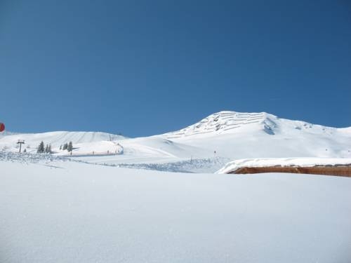 Imagen general del Alpbach Bergwald. Foto 45