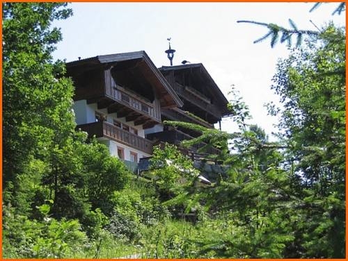 Imagen general del Alpbach Bergwald. Foto 48