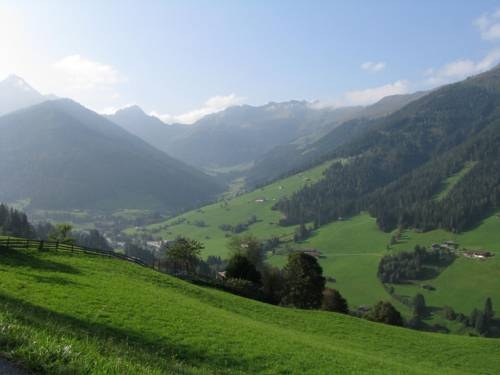 Imagen general del Alpbach Bergwald. Foto 51