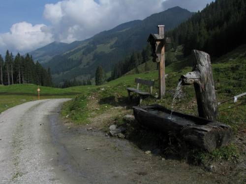 Imagen general del Alpbach Bergwald. Foto 61