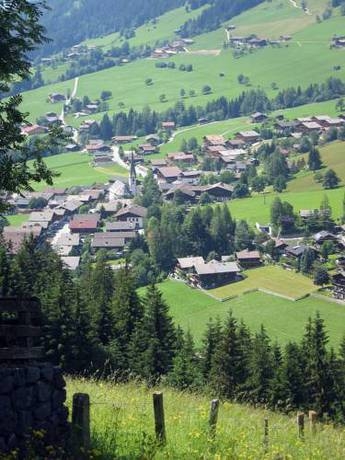 Imagen general del Alpbach Bergwald. Foto 68