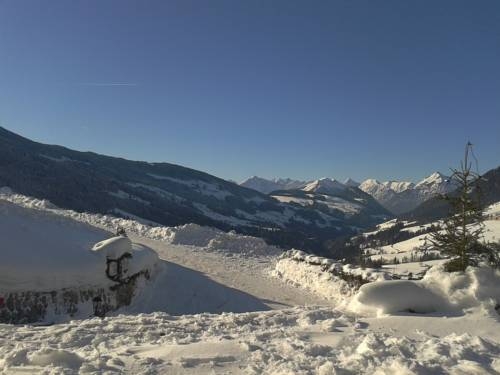 Imagen general del Alpbach Bergwald. Foto 71