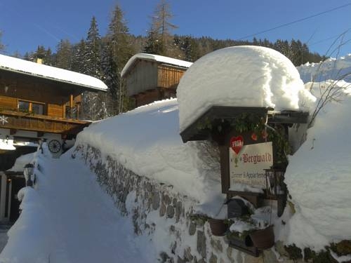 Imagen general del Alpbach Bergwald. Foto 73