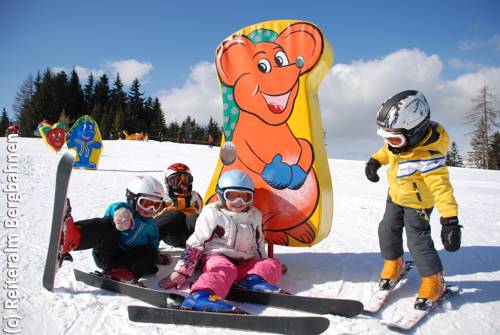 Imagen de la habitación del Alpenchalets Reiteralm By Alps Residence. Foto 14