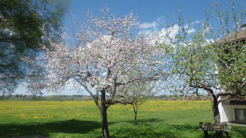 Imagen de los exteriores del Alpengasthof Geiselstein. Foto 11